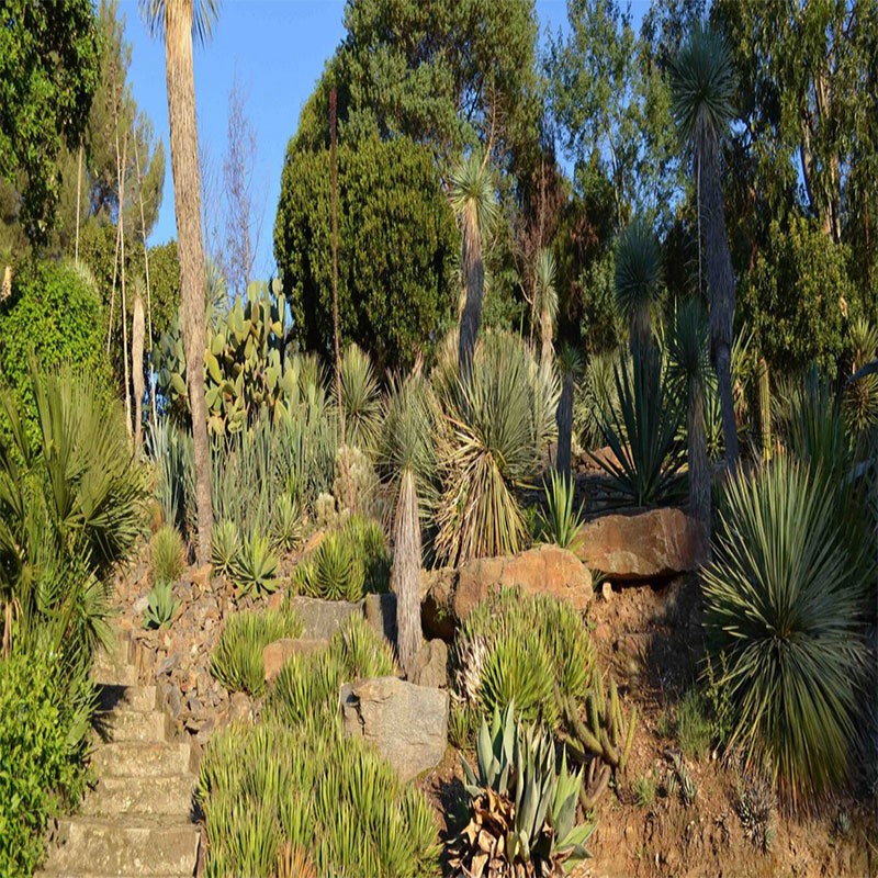 Jardin du Rayol et Village...