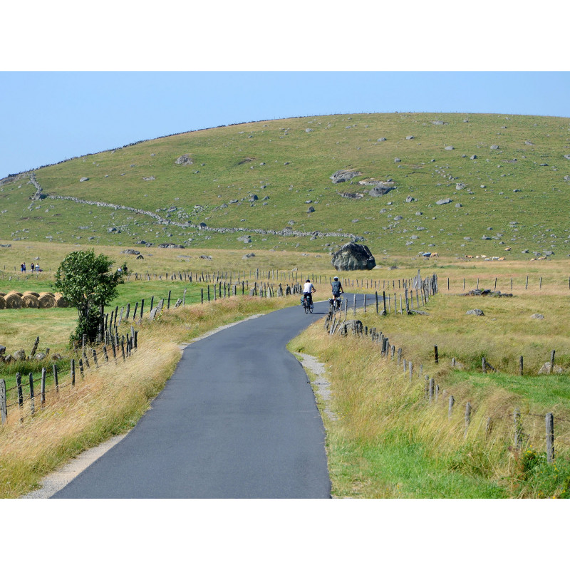TRANSHUMANCE EN AUBRAC et...