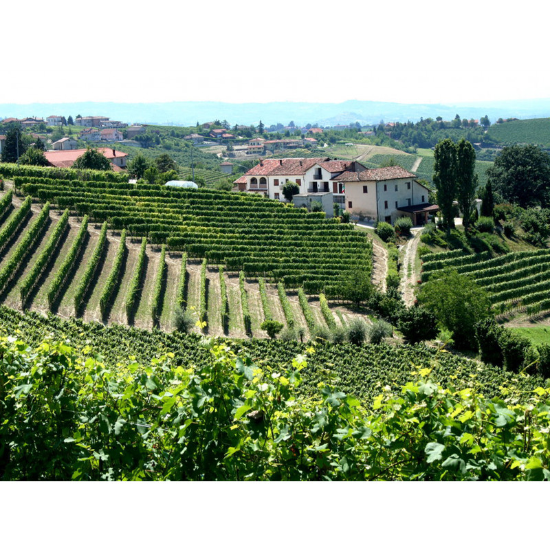 PIEMONT ET FESTIVAL DELLE...