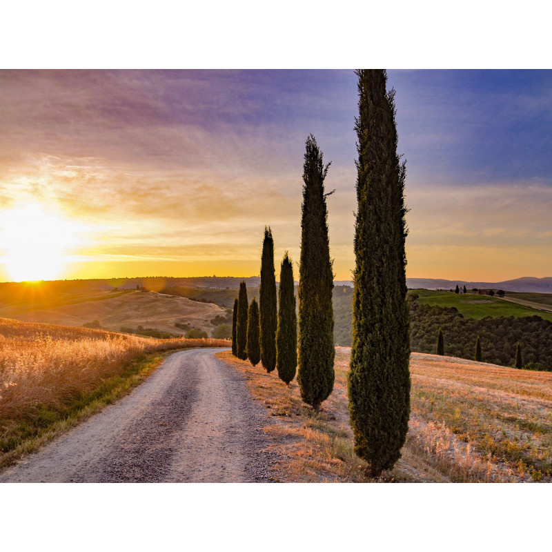 TOSCANE SECRETE, Val...