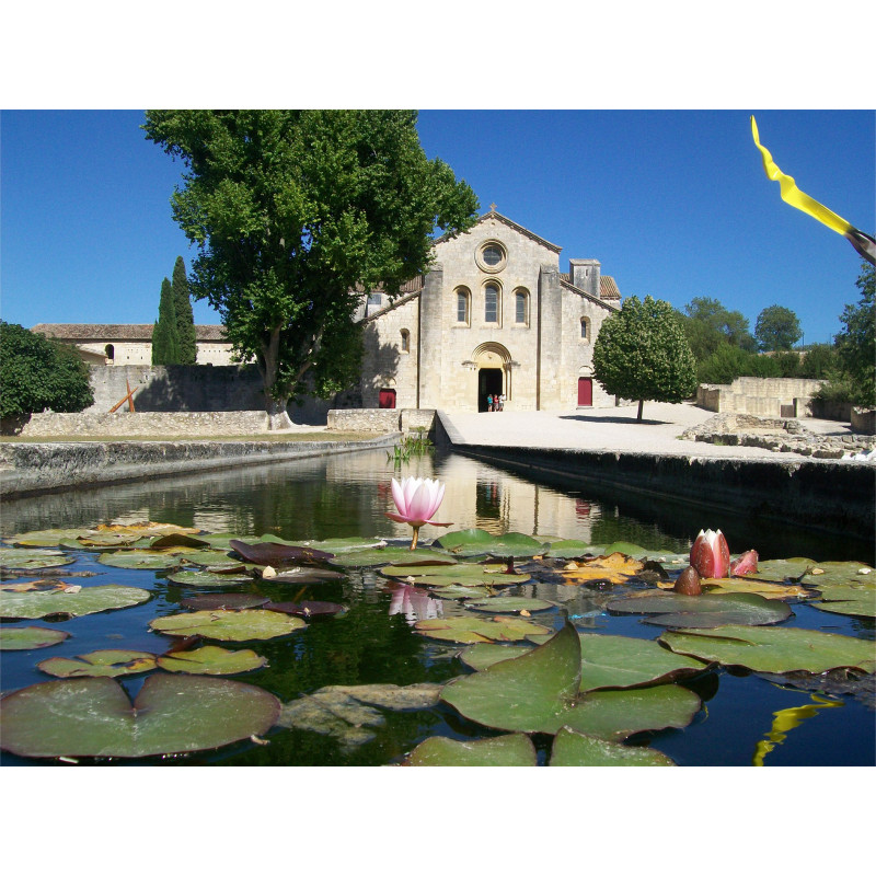 CHATEAU DE LOURMARIN et...