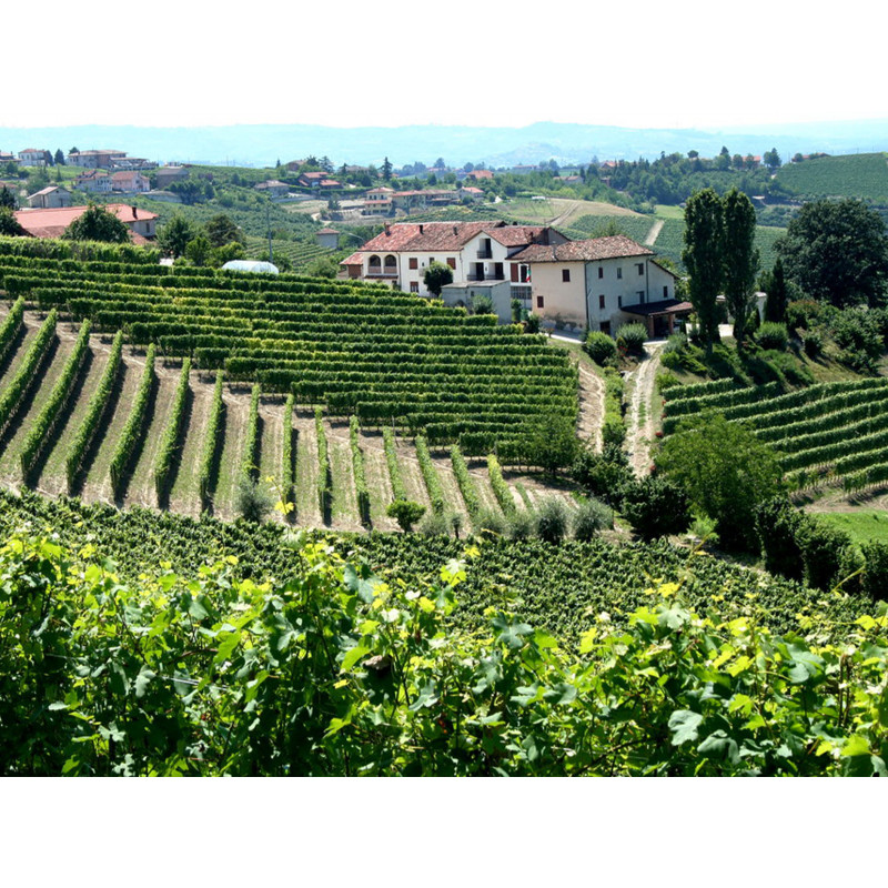 PIEMONT ET FESTIVAL DELLE...