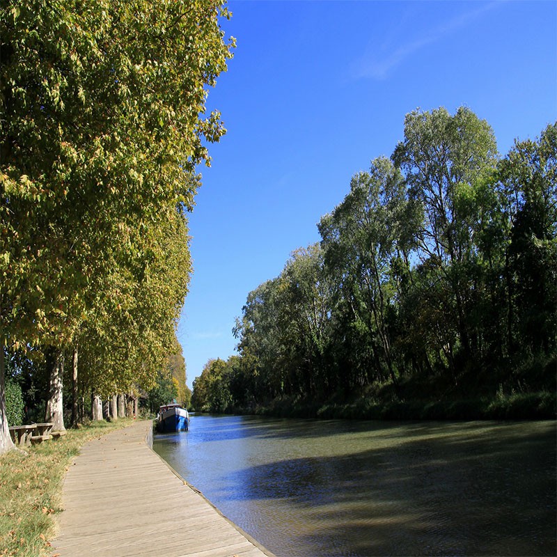 Canal du Midi, Terra Vinea...