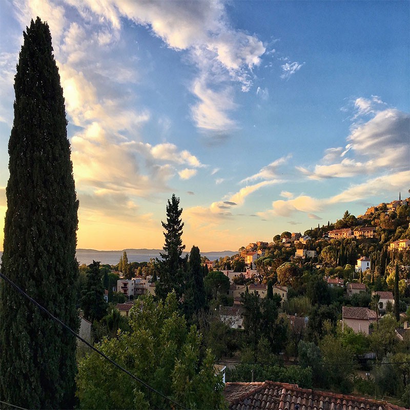 Bormes Les Mimosas et Le...